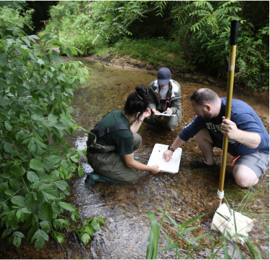 Students conducting research around waterway